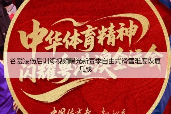 gu-ai-ling-shang-hou-xun-lian-shi-pin-bao-guang-xin-sai-ji-zi-you-shi-hua-xue-nan-du-hui-fu-ji-cheng-2-255.jpg
