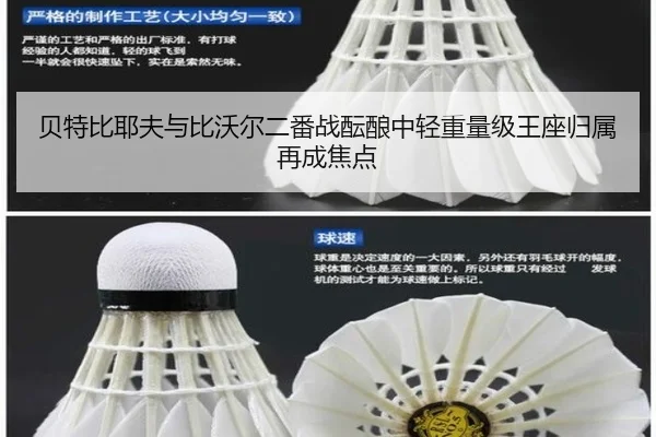 贝特比耶夫与比沃尔二番战酝酿中轻重量级王座归属再成焦点